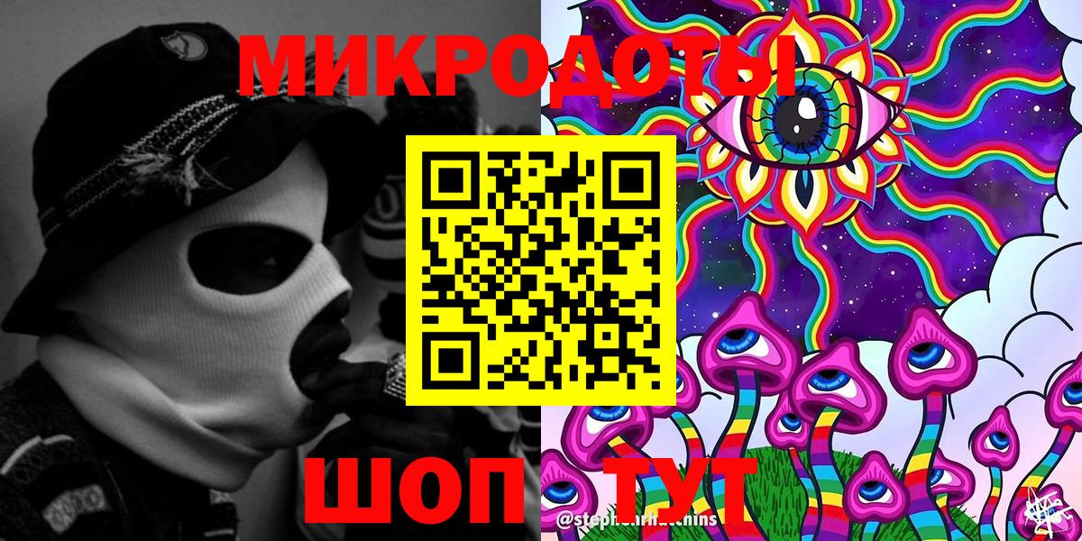 Галлюциногенные грибы Psilocybe  Великие Луки 