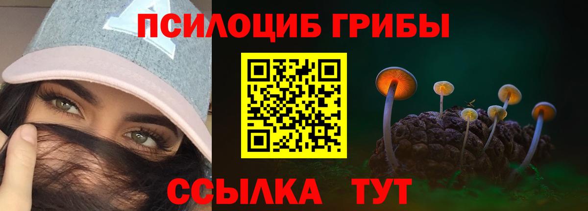 Псилоцибиновые грибы MAGIC MUSHROOMS Великие Луки